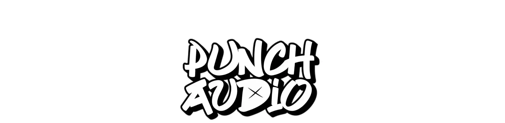 Punch Audio