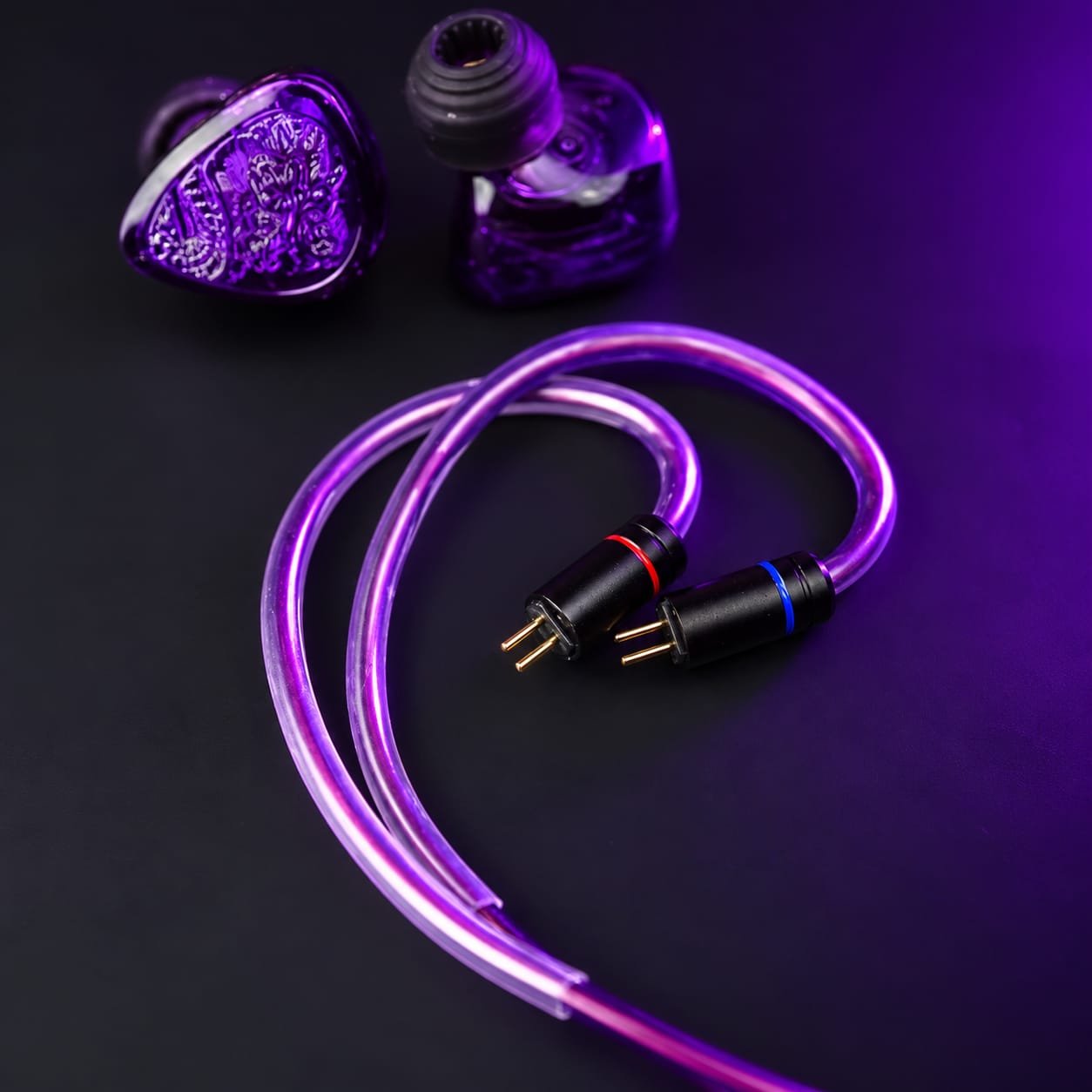 Tangzu Waner SG 2 / Wan'er SG 2 Amethyst Dragon / Purple Dragon 5th Anniversary Limited Edition 10mm PET Single Dynamic Driver In-Ear Monitor Earphones / IEM Original