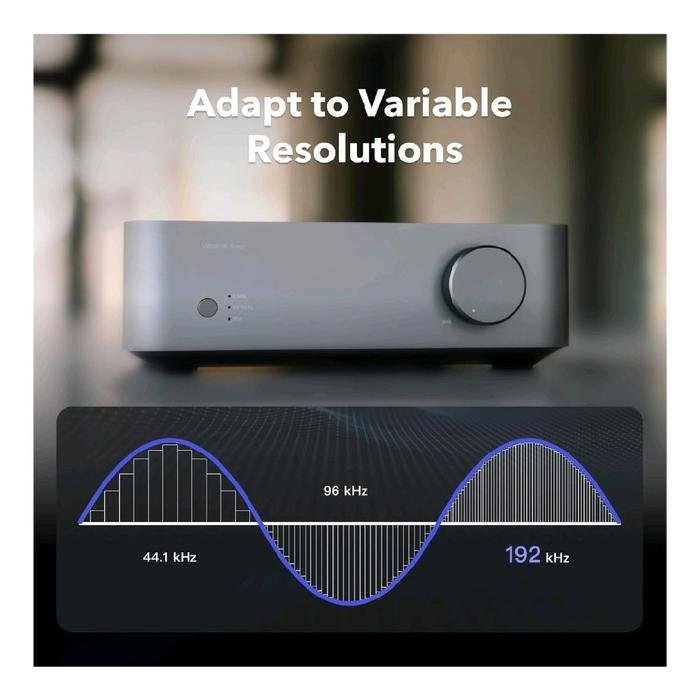 WiiM Vibelink Amp Premium Power Amplifier with Premium ESS 9039Q2M DAC and TI TPA3255 - Amplifier Original