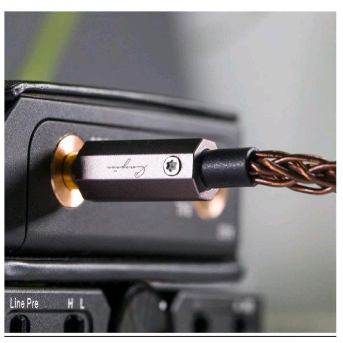Cayin CS-35C35II / CS35C35II / CS 35C35 II - 3.5mm to 3.5mm Analog Aux Cable Original
