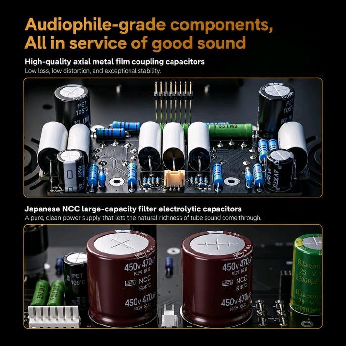 Fiio EA13 / EA 13 Hi-Res Full-Size Vacuum Tube Audio Power Amplifier Original